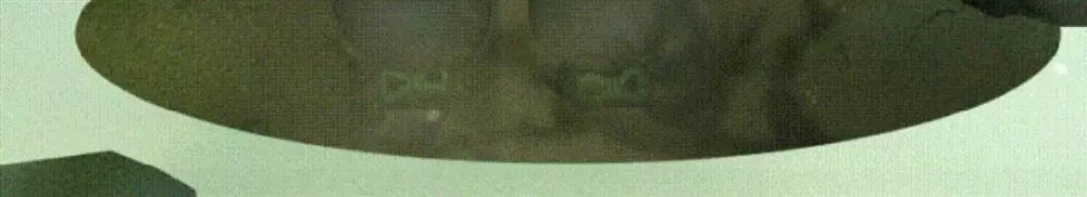 ef862bbf-8786-42fb-86d0-1e20a3c93309