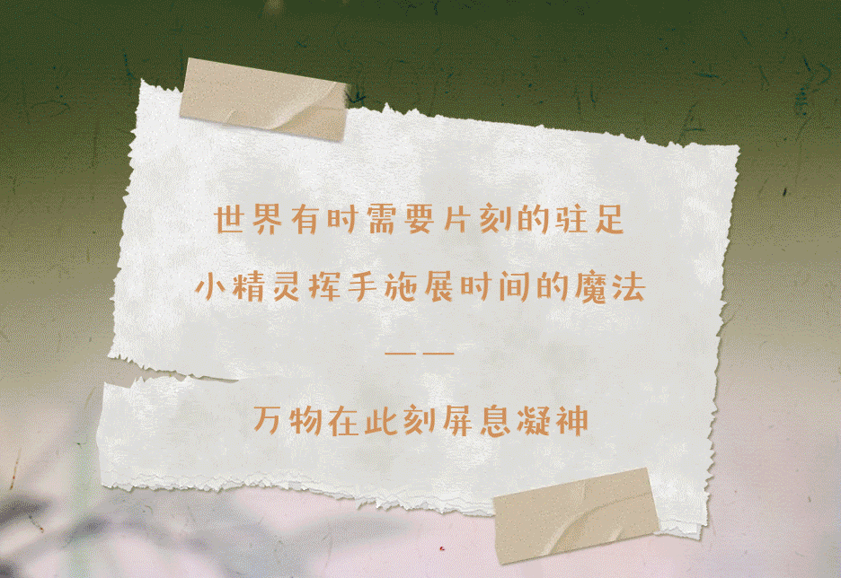 83db0ad4-3c30-4299-b005-6193c967d327