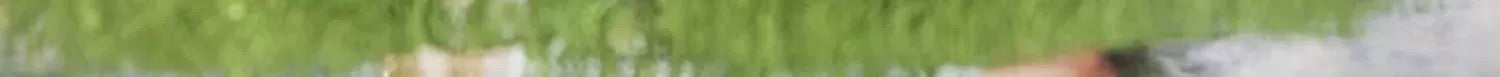 053e966c-0255-41f1-a3ad-3d702ee8d1b7