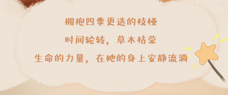 501dbcb4-1bcf-4bb1-9496-2ae287277709
